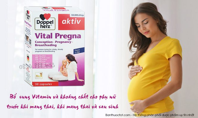 thuốc bổ vital pregna