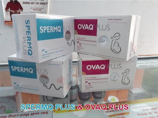 spermq plus và ovaq plus