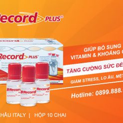 công dụng của b record plus