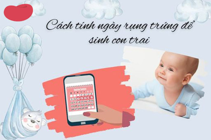 cách tính ngày rụng trứng sinh con trai theo ý muốn