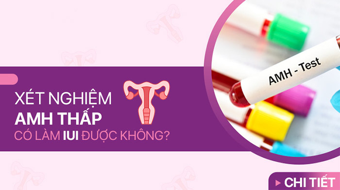 giải pháp cho phụ nữ có chỉ số amh thấp