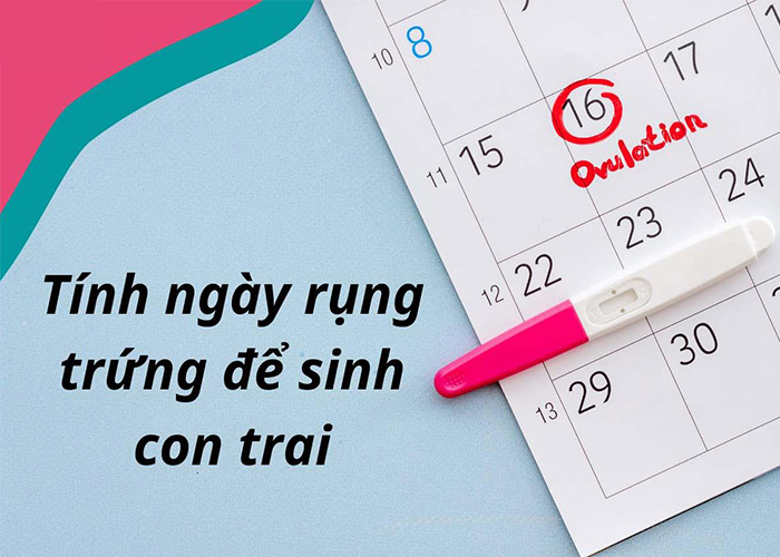 tính ngày rụng trứng để sinh con trai