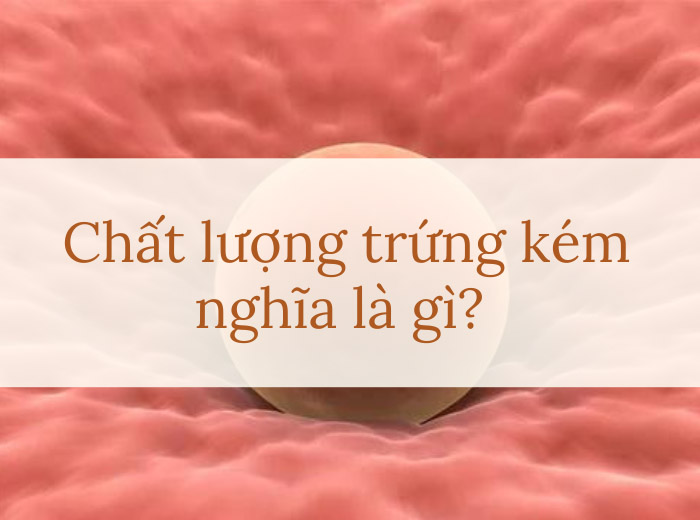 trứng kém là gì