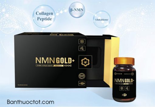 thành phần nmn gold+